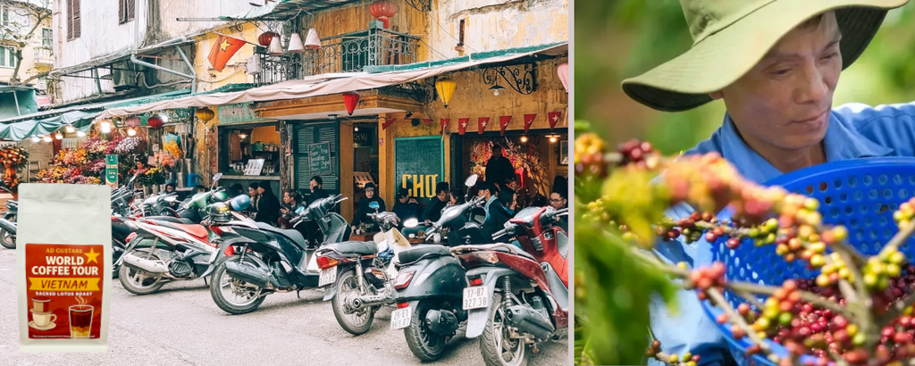 Why We Love the Vietnam Coffee Culture