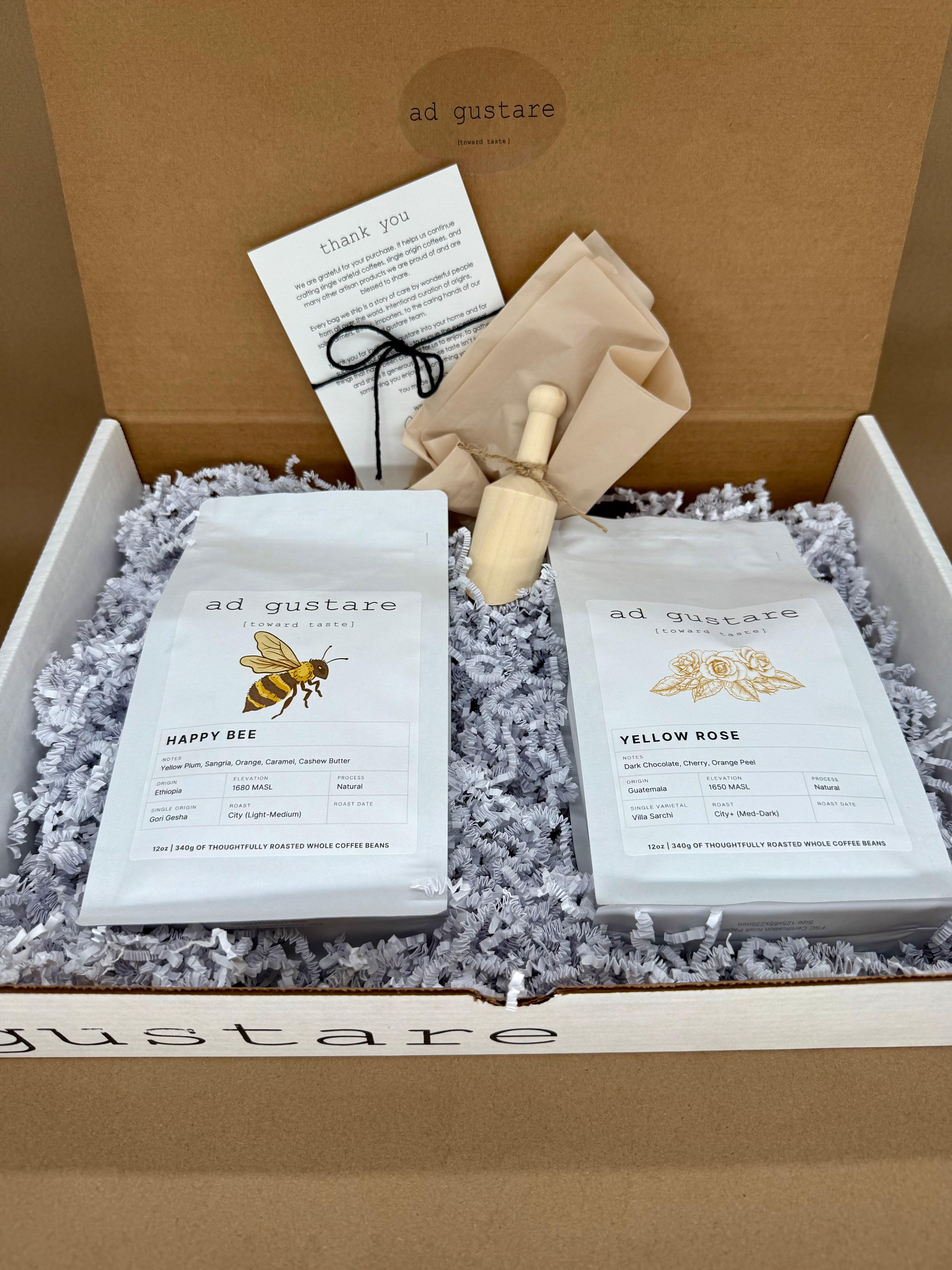 Ad Gustare AG Signature Club coffee subscription box featuring two specialty coffee bags, brewing tool, and thank you card arranged in a branded gift box. Front view